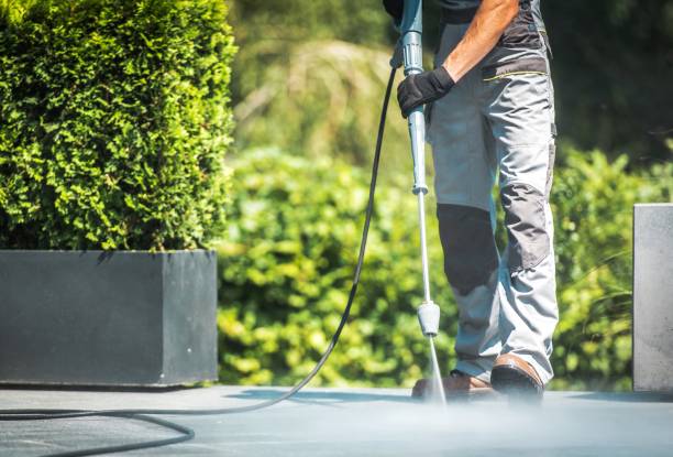 Best House Exterior Washing  in Ivanhoe, CA