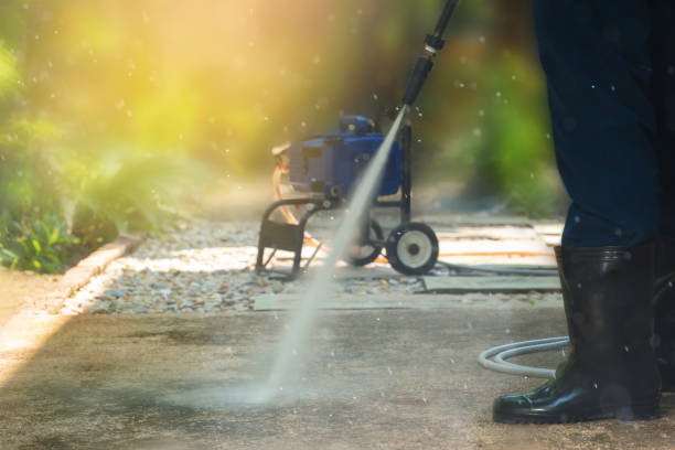 Best Soft Washing  in Ivanhoe, CA